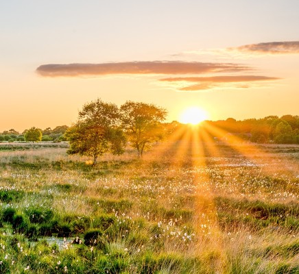 Overijssel natuur verkleind.jpg