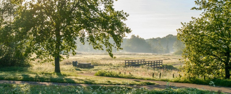 Drenthe.jpg