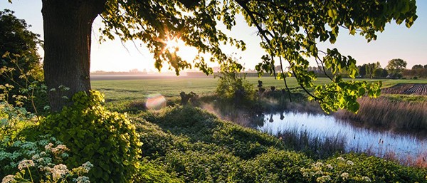 Zeeland -Zak van Zuid-Beveland - nieuwsbrief.jpg