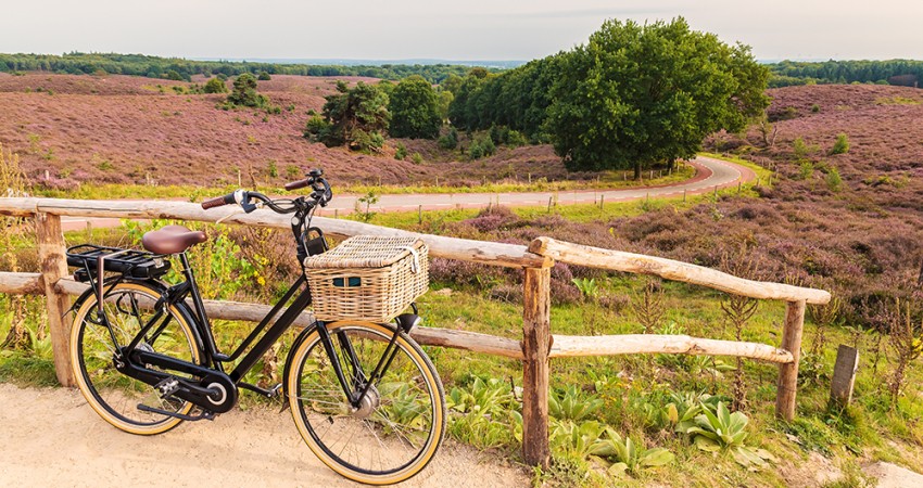 Gelderland_Veluwe.jpeg