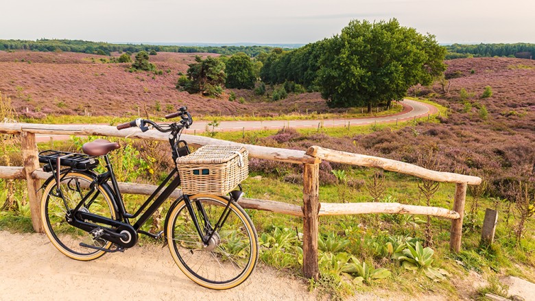 Gelderland_Veluwe.jpeg