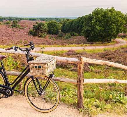 Gelderland_Veluwe.jpeg