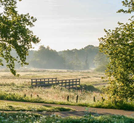 Drenthe.jpg