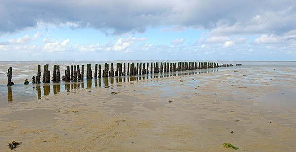 Groningen Waddenzee verkleind.jpg