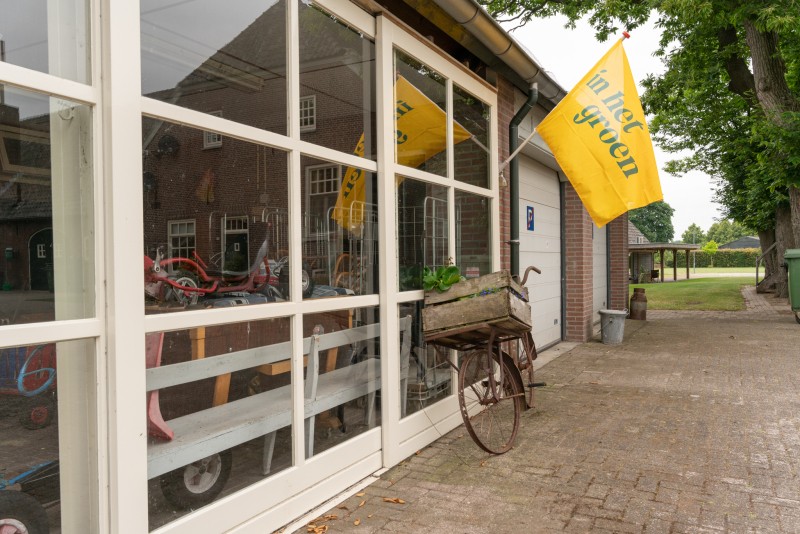 Daan Nr.13