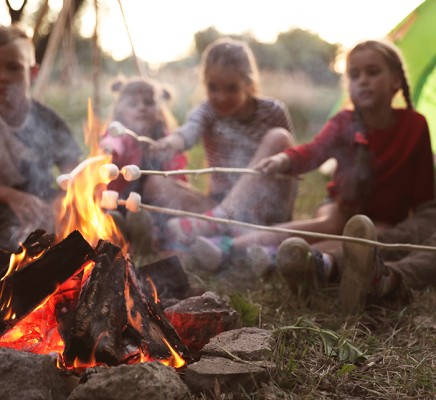 ANWB Camping van het jaar 2023.jpg