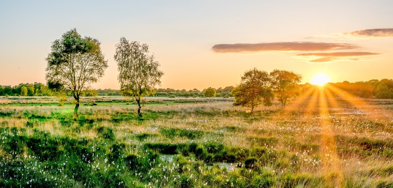 Overijssel natuur verkleind.jpg