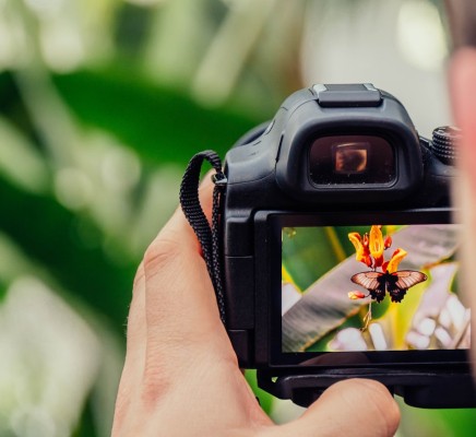 Welke camera neem je mee de natuur in.jpg