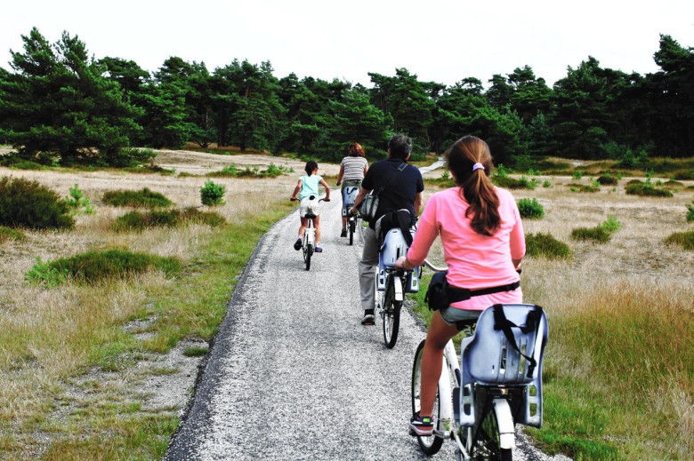 Veluwe Fietsen_Veluwe.jpg