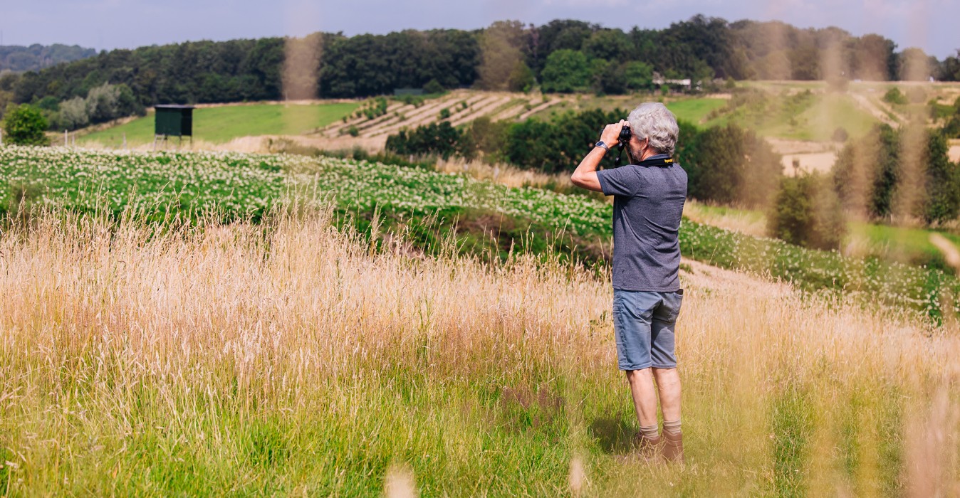 In het Groen banner voorjaar.jpg