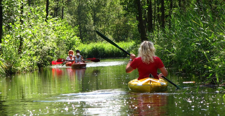 Overijssel Giethoorn high_rgb verkleind 20042.jpg