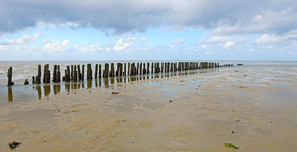 Groningen Waddenzee verkleind.jpg