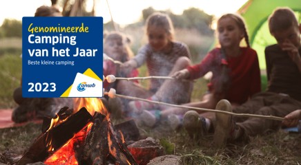 ANWB Camping van het jaar 2.jpg