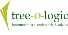 Logo Tree-o-logic