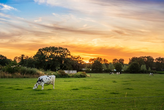 Camping zonsondergang